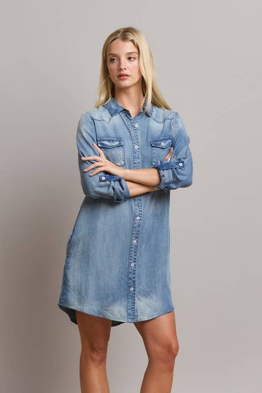 Dina shirt dress