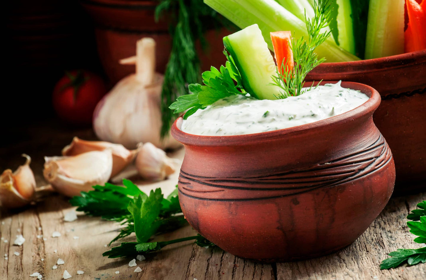 Dilly Ranch Dip Mix-Multiple Uses in 1 Packet!