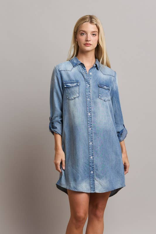 Dina shirt dress