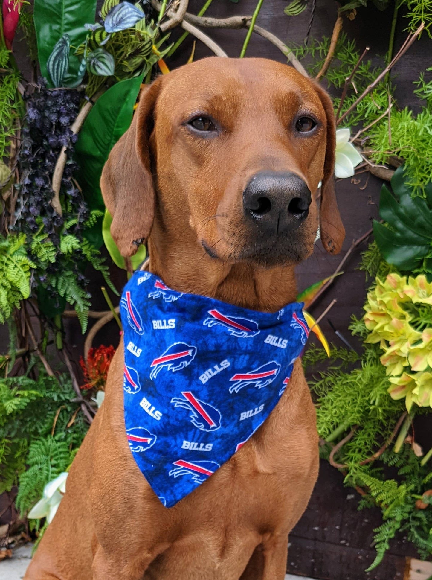 Buffalo Bills Tie Die Bandana - Football Collection