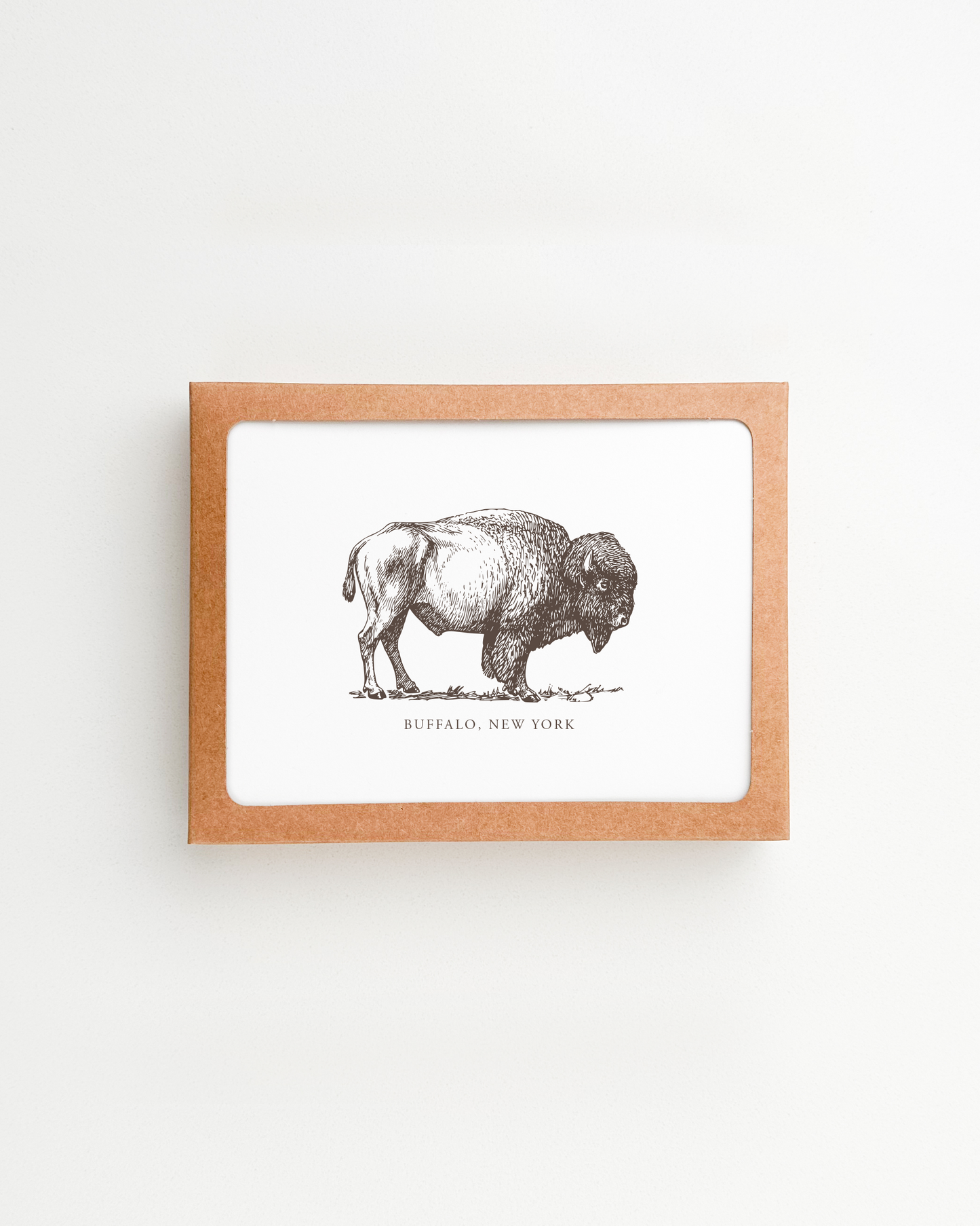 Buffalo Bison Notecard Set. Buffalo, NY Gift