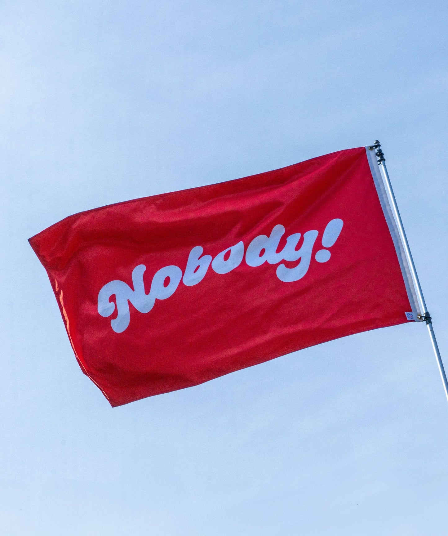 Who Has More Fun Than Outdoor Flag