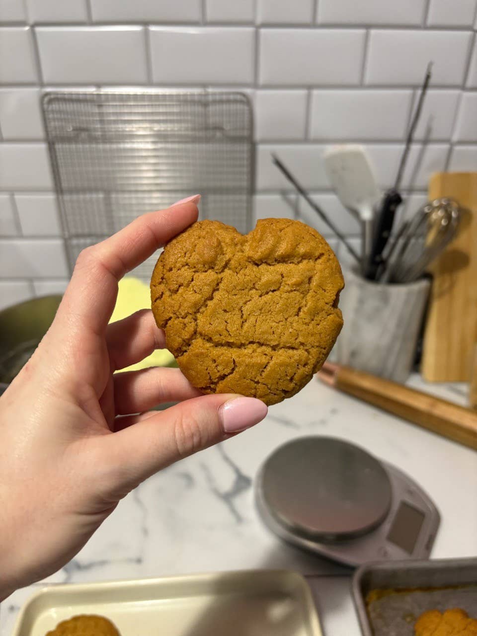 Suck It Up Buttercup - Peanut Butter Chip Cookie Mix